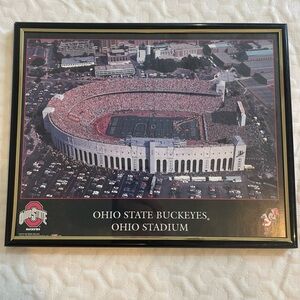 Ohio State Buckeyes Stadium Aerial Photograph Framed 8x10 1995 Vintage Football